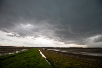 Stormy Clouds