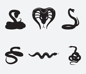 Vetor illustration Reptile snake or serpent flat icon for animal apps and websites