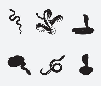 Vetor illustration Reptile snake or serpent flat icon for animal apps and websites