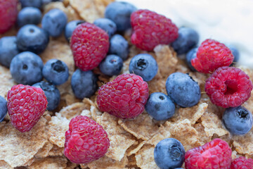 Whole wheat granola breakfast with organic blueberries and raspberries. Close up