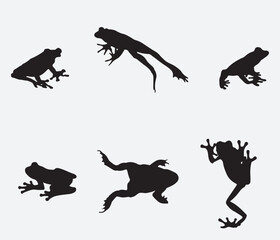 Vector amphibian silhouette on the white background. Frog silhouettes. Collection of vector amphibian silhouette isolated. Vector silhouettes of amphibian, top view