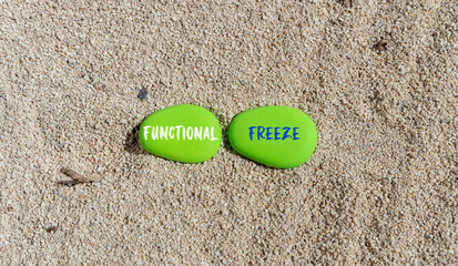 Functional freeze symbol. Concept words Functional freeze on beautiful green stone. Beautiful sand beach background. Business psychology functional freeze concept. Copy space.
