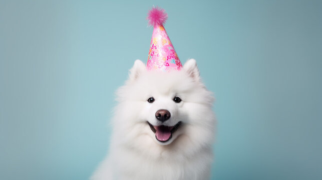 Cute Samoyed with birthday hat on isolated background, birthday card, generative AI