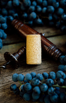 Vintage corkscrew with corck among ripe grapes lay on a rustic wood table. Concept of autumn, vineyards, winemaking