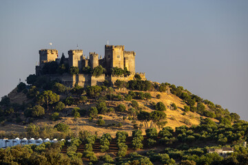 Fototapeta na wymiar Almodovar del Rio Castle in Andalusia, Spain