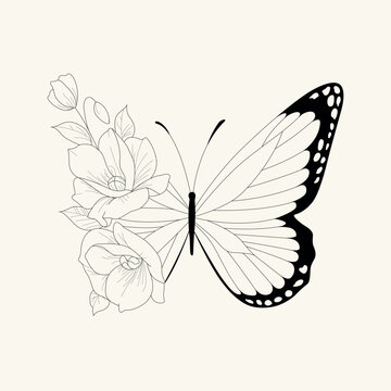 Flower floral butterfly line drawing