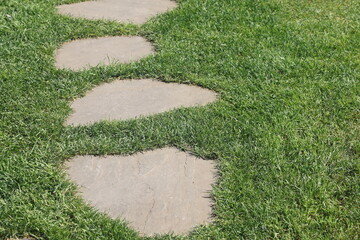 stone path with green grass in the park, garden landscaping, close-up photo.