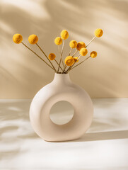 Bohemian ceramic vase with dry Craspedia flowers and beautiful sunlight shadows, scandinavian...