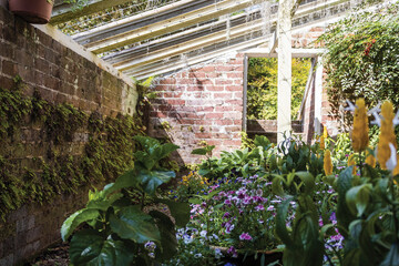 Interior of an old hothouse with flowers.