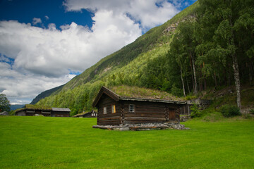 Fototapeta na wymiar Krajobraz norweski z domkiem i górami