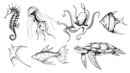 Undersea Animals set. Vector hand drawn illustration of seahorse and jellyfish on isolated background in outline style. Drawing of sea turtle and octopus. Engraving of underwater fish. Black inks. © Alisles