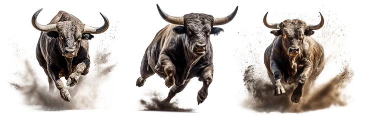 Foto op Aluminium Angry bull with big horns running Isolated on transparent background © Mrs__DoubleF