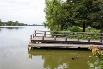 Scenic fishing dock or pier on lake.