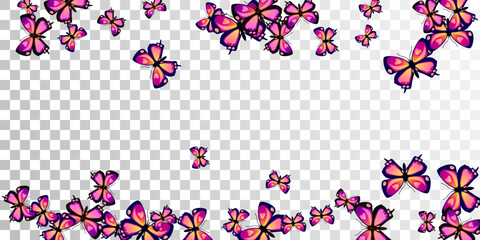 Exotic purple butterflies cartoon vector illustration. Summer little moths. Detailed butterflies cartoon children wallpaper. Tender wings insects patten. Garden beings.