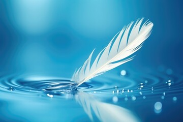 Feather and gentle blue water