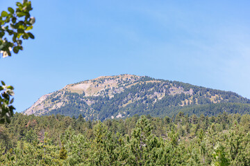 Fototapeta premium A scenics view of a majestic mountain summit (Mont Guillaume) with pine trees forest under a majestic blue sky