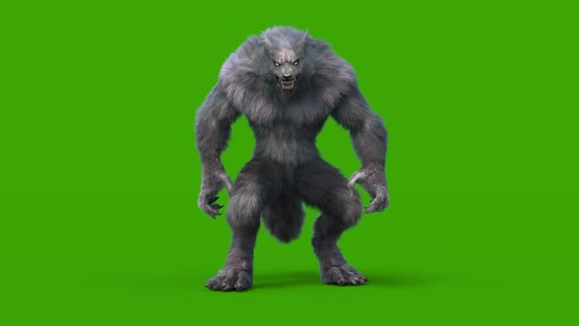 Werewolf Dark Fur Green Screen Idle Front Loop 3D Rendering Animation Halloween