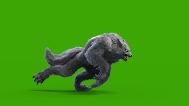 Werewolf Dark Fur Green Screen Runcycle Side Loop 3D Rendering Animation Horror