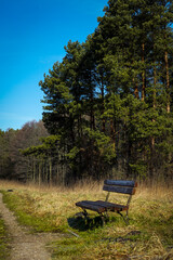 bench in the forest