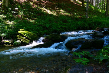 Wildbach, Mariensee