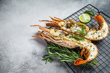 Barbecue grilled and sliced Spiny lobster or sea crayfish with herbs. White background. Top view....
