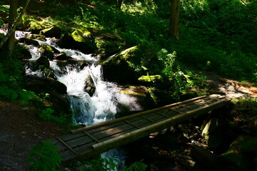 Steg über den Wildbach