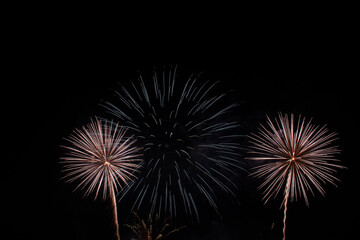 Obraz premium Firework in the sky