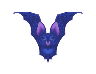 Bat flying with outstretched wings in blue purple colors Hand drawn illustration with colored pencils isolated on white background for autumn holiday decoration gothic magic halloween