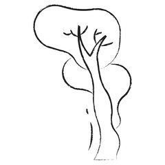 Hand drawn tree icon