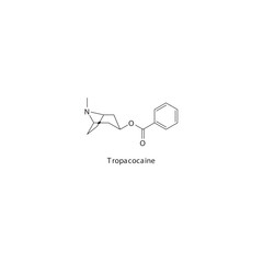 Tropacocaine  flat skeletal molecular structure Local Anesthetic  drug used in illegal drug, anasthesia and pain treatment. Vector illustration.