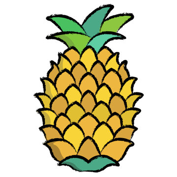 Hand drawn Pinaple icon