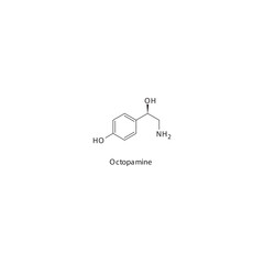Octopamine  flat skeletal molecular structure α1 agonist drug used in hypotension treatment. Vector illustration.