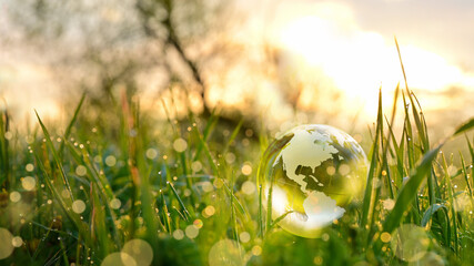ESG Environment america earth ball globe of usa and canada map - sustainable, ecological and environmental globe in the morning sun landscape. with grass and dew drops.	