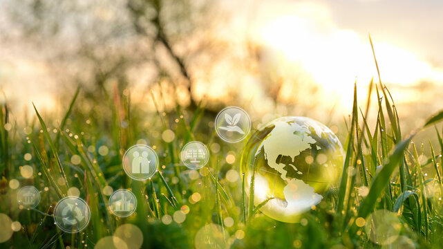 Glass Globe Earth Ball With Sustainable Development And Environment, Social, Governance And Business Cooperation For The Global Concept Of Sustainable Environment And Social Responsibility - ESG.