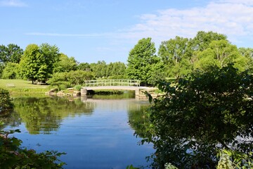 Obraz premium The footbridge in the park on a sunny day.