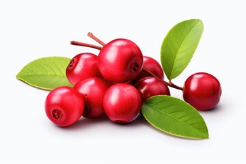 red cranberries with leaves