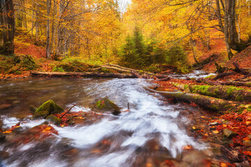Fototapeta na wymiar Enchanting Autumn River Amidst Narrow Mountain Gorge