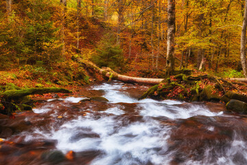 Majestic Autumn River Serenely Flowing Through the Mountainous Forest