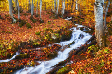 Autumn's Serenade: A Serene River Journey Through the Enchanting Forest