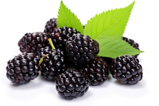 marionberries on a white background