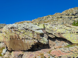 Bronze Age Rock Engravings Carvings or Petroglyphs of Bulls in the Vallée des Merveilles (Valley...