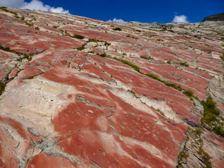 Bronze Age Rock Engravings Carvings or Petroglyphs of Bulls in the Vallée des Merveilles (Valley...