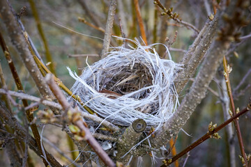 Ptasie gniazdo utkane z uschniętych roślin i nylonowego sznurka.