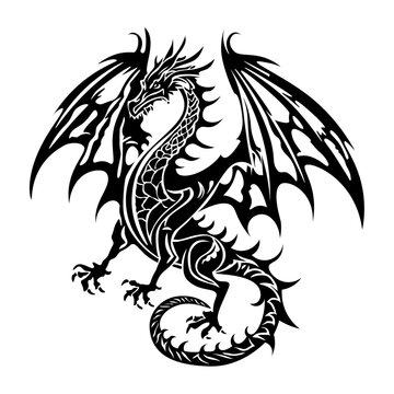 Black silhouette Chainese Dragon Tattoo on white background isolated vector illustration