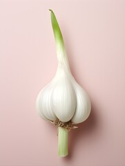 Garlic Revived: Pop Art Minimalism on a Clove