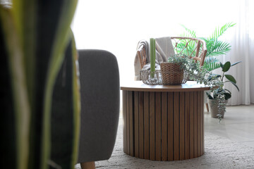 Coffee table with aroma candles and houseplant in bright living room