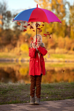 Cute little girl holding colorful rainbow umbrella on beautiful autumn day. Happy child playing in autumn park by any weather.