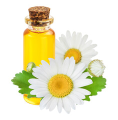 Obraz na płótnie Canvas bottle with essential oil and fresh chamomile flowers isolated on white background