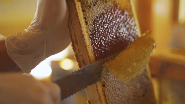 The beekeeper using a knife prints honeycombs with nesting frames. Close-up. Beekeeping.