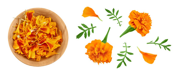 fresh marigold or tagetes erecta flower isolated on white background with  full depth of field. Top view. Flat lay